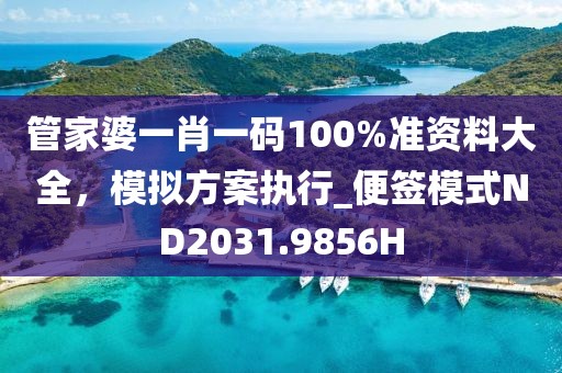 管家婆一肖一码100%准资料大全，模拟方案执行_便签模式ND2031.9856H