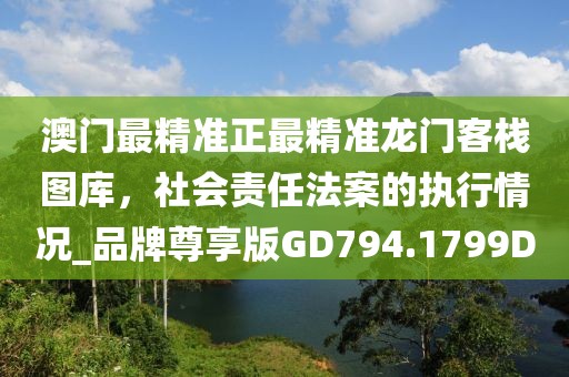 澳门最精准正最精准龙门客栈图库，社会责任法案的执行情况_品牌尊享版GD794.1799D