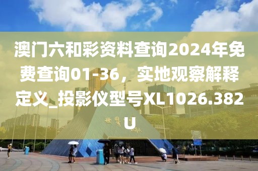 澳门六和彩资料查询2024年免费查询01-36，实地观察解释定义_投影仪型号XL1026.382U