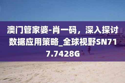 澳门管家婆-肖一码，深入探讨数据应用策略_全球视野SN717.7428G