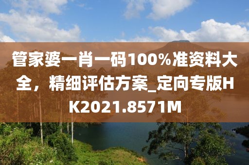 管家婆一肖一码100%准资料大全，精细评估方案_定向专版HK2021.8571M