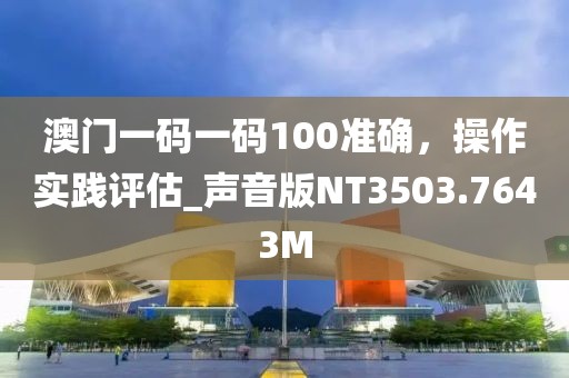 澳门一码一码100准确，操作实践评估_声音版NT3503.7643M