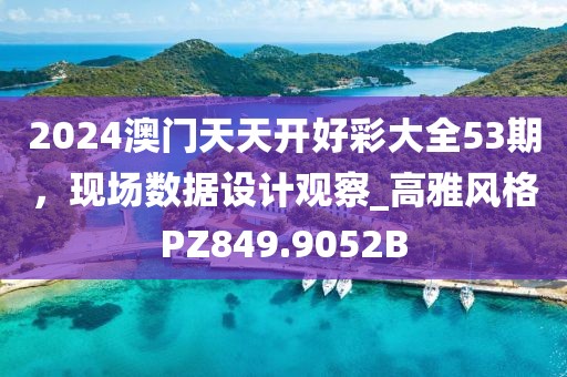 2024澳门天天开好彩大全53期，现场数据设计观察_高雅风格PZ849.9052B