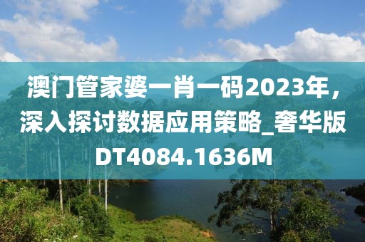 澳门管家婆一肖一码2023年，深入探讨数据应用策略_奢华版DT4084.1636M