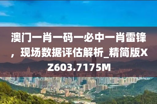 澳门一肖一码一必中一肖雷锋，现场数据评估解析_精简版XZ603.7175M