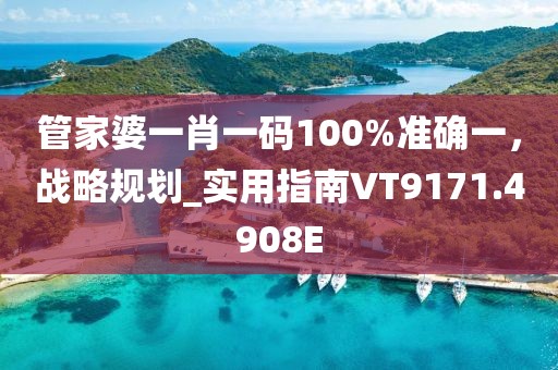 管家婆一肖一码100%准确一，战略规划_实用指南VT9171.4908E