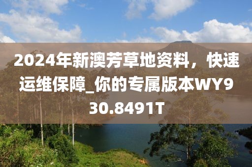 2024年新澳芳草地资料，快速运维保障_你的专属版本WY930.8491T