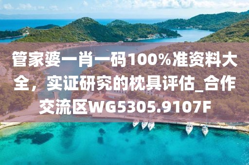 管家婆一肖一码100%准资料大全，实证研究的枕具评估_合作交流区WG5305.9107F