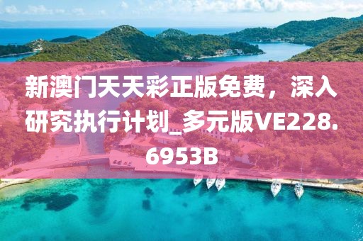 新澳门天天彩正版免费，深入研究执行计划_多元版VE228.6953B