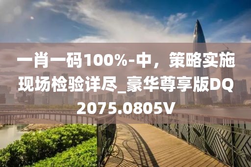 一肖一码100%-中，策略实施现场检验详尽_豪华尊享版DQ2075.0805V