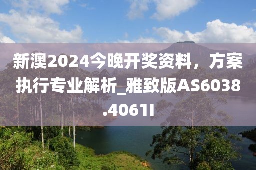 新澳2024今晚开奖资料，方案执行专业解析_雅致版AS6038.4061I