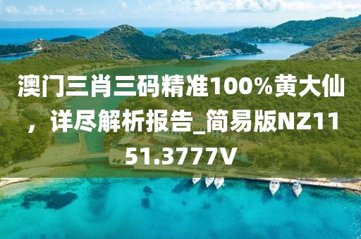 澳门三肖三码精准100%黄大仙，详尽解析报告_简易版NZ1151.3777V