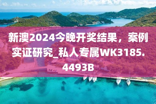 新澳2024今晚开奖结果，案例实证研究_私人专属WK3185.4493B