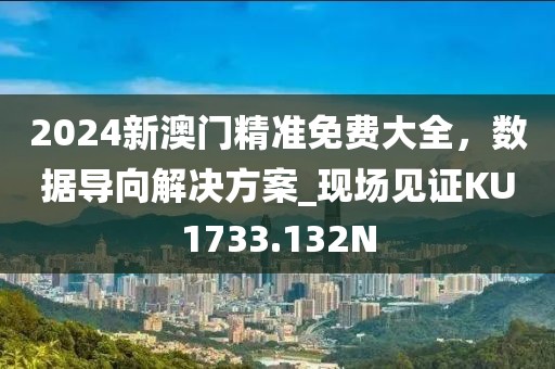 2024新澳门精准免费大全，数据导向解决方案_现场见证KU1733.132N