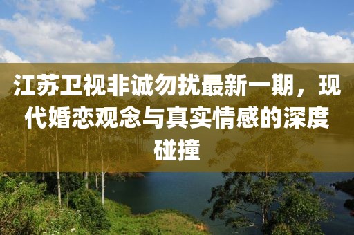 江苏卫视非诚勿扰最新一期，现代婚恋观念与真实情感的深度碰撞