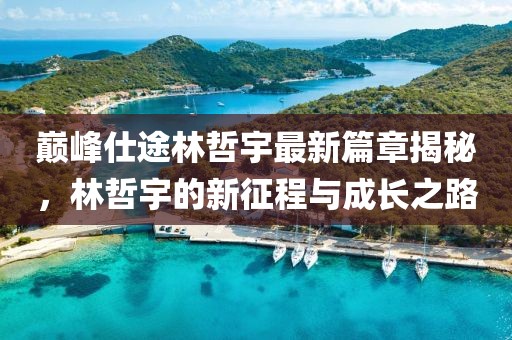 巅峰仕途林哲宇最新篇章揭秘，林哲宇的新征程与成长之路