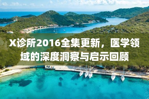 X诊所2016全集更新，医学领域的深度洞察与启示回顾