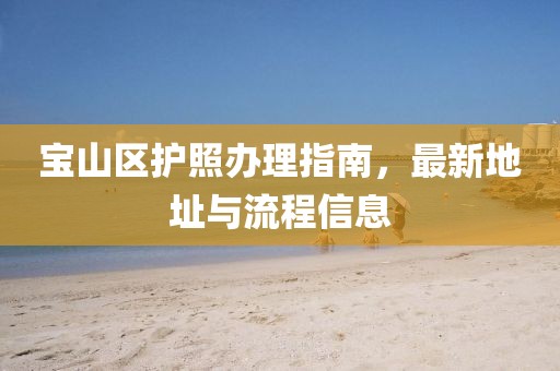 宝山区护照办理指南，最新地址与流程信息