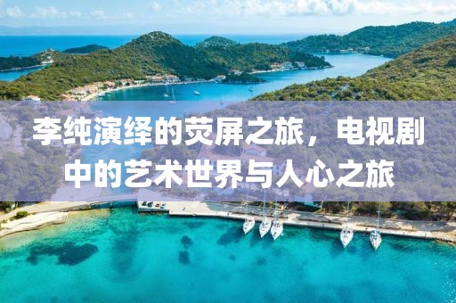 李纯演绎的荧屏之旅，电视剧中的艺术世界与人心之旅