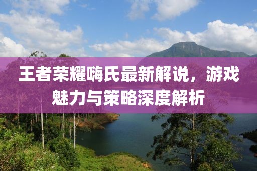 王者荣耀嗨氏最新解说，游戏魅力与策略深度解析