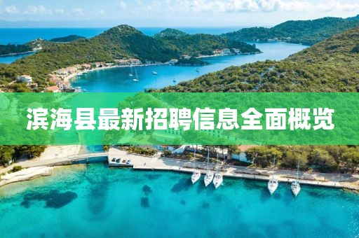 滨海县最新招聘信息全面概览