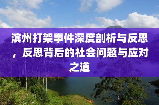 滨州打架事件深度剖析与反思，反思背后的社会问题与应对之道