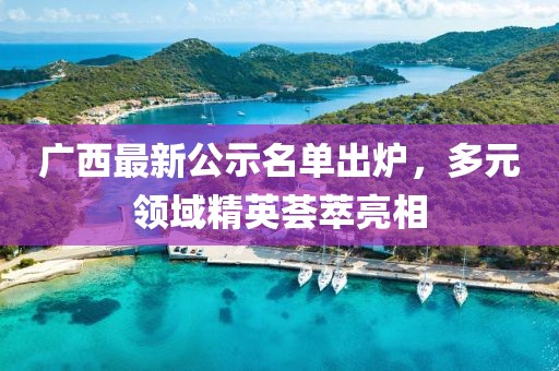 广西最新公示名单出炉，多元领域精英荟萃亮相