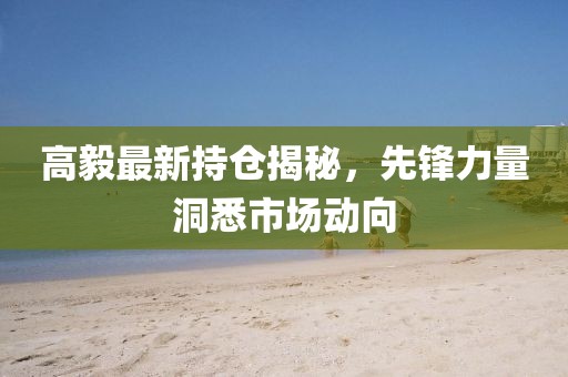 高毅最新持仓揭秘，先锋力量洞悉市场动向