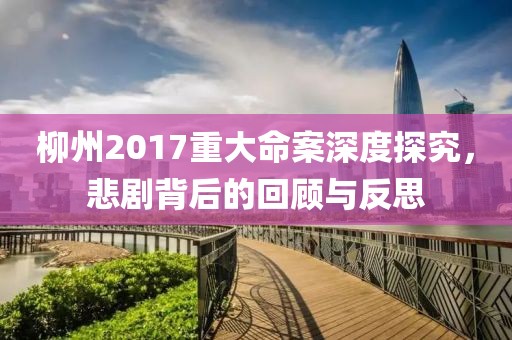 柳州2017重大命案深度探究，悲剧背后的回顾与反思