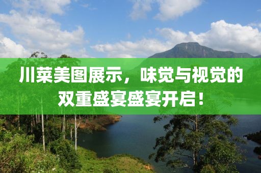 川菜美图展示，味觉与视觉的双重盛宴盛宴开启！