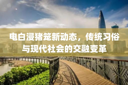 电白浸猪笼新动态，传统习俗与现代社会的交融变革