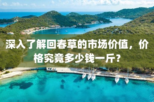 深入了解回春草的市场价值，价格究竟多少钱一斤？