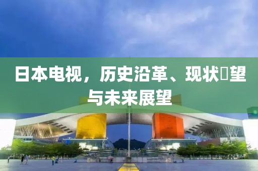 日本电视，历史沿革、现状瞭望与未来展望