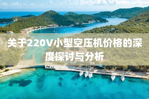 关于220V小型空压机价格的深度探讨与分析