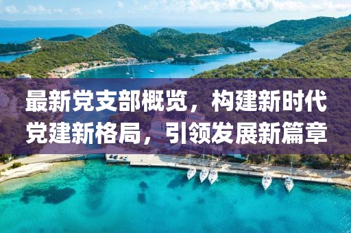 最新党支部概览，构建新时代党建新格局，引领发展新篇章