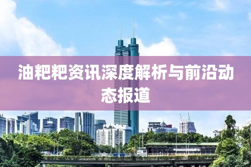 油粑粑资讯深度解析与前沿动态报道