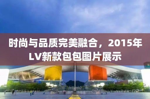 时尚与品质完美融合，2015年LV新款包包图片展示