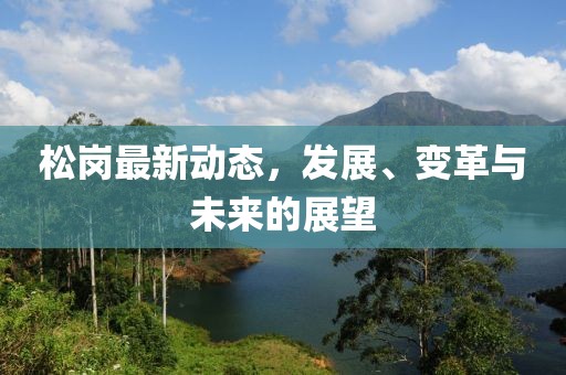 松岗最新动态，发展、变革与未来的展望