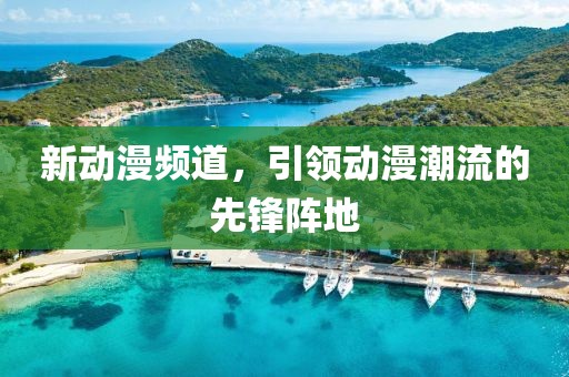 新动漫频道，引领动漫潮流的先锋阵地