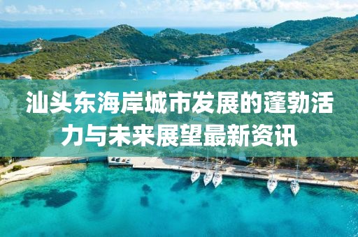 汕头东海岸城市发展的蓬勃活力与未来展望最新资讯