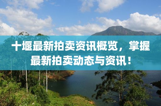 十堰最新拍卖资讯概览，掌握最新拍卖动态与资讯！