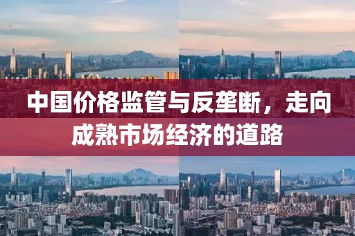 中国价格监管与反垄断，走向成熟市场经济的道路