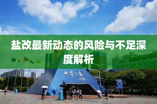 盐改最新动态的风险与不足深度解析