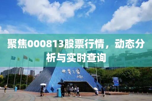 聚焦000813股票行情，动态分析与实时查询