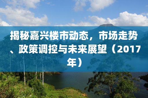 揭秘嘉兴楼市动态，市场走势、政策调控与未来展望（2017年）