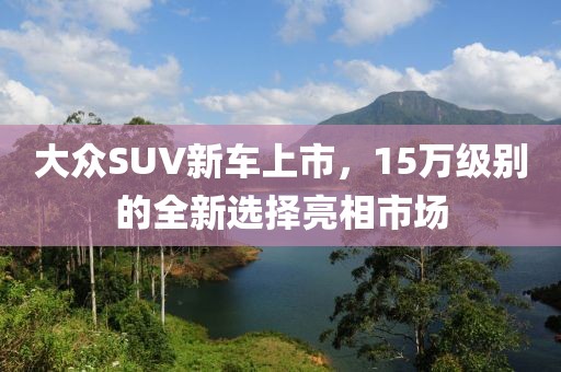 大众SUV新车上市，15万级别的全新选择亮相市场