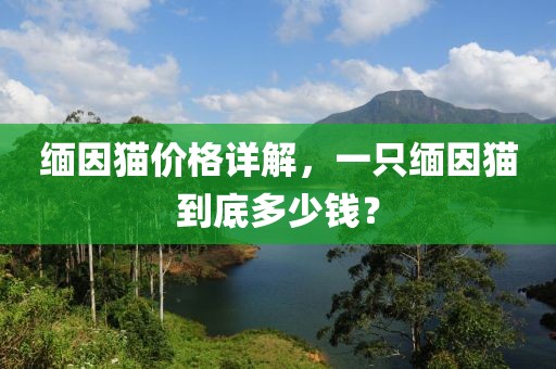 缅因猫价格详解，一只缅因猫到底多少钱？