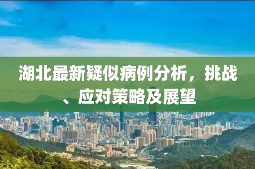 湖北最新疑似病例分析，挑战、应对策略及展望