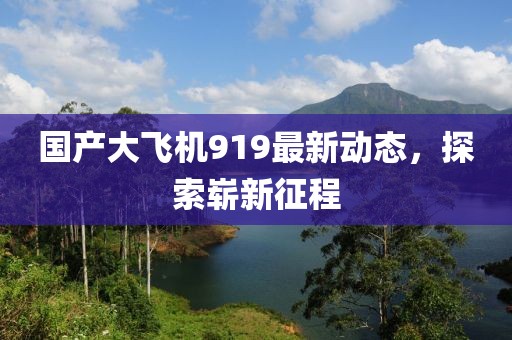 国产大飞机919最新动态，探索崭新征程