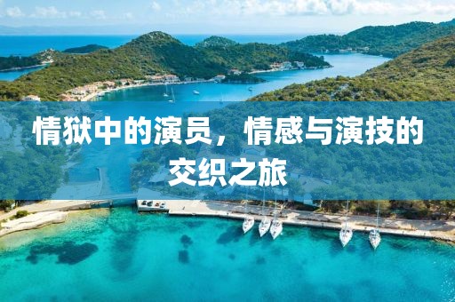 情狱中的演员，情感与演技的交织之旅